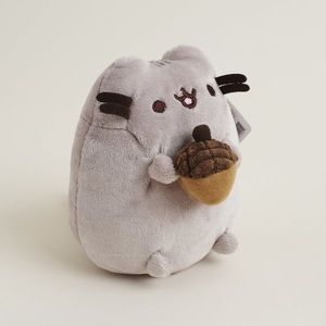 Pusheen holding acorn plush box exclusive